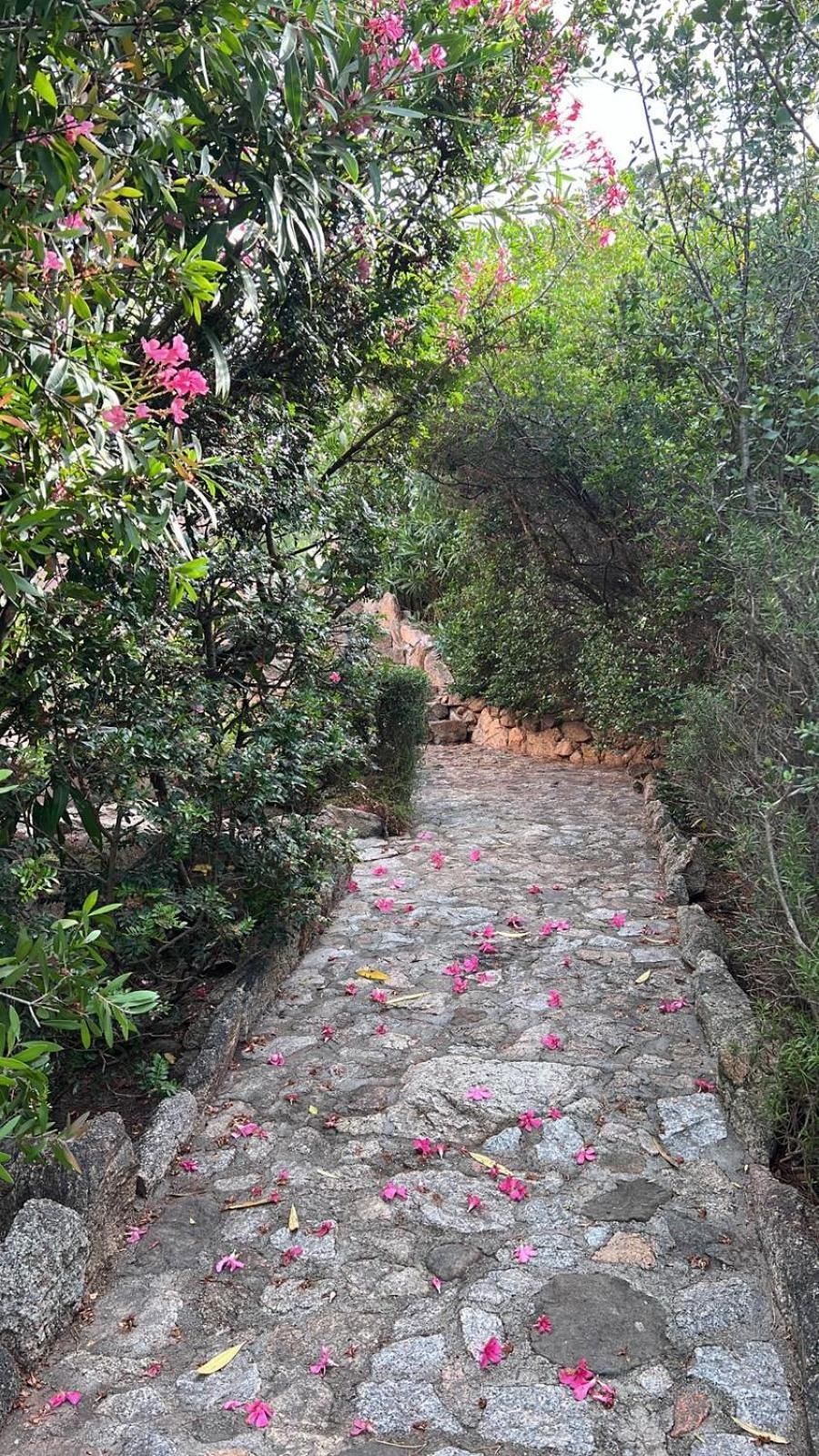 Grace La Maddalena (Sassari)