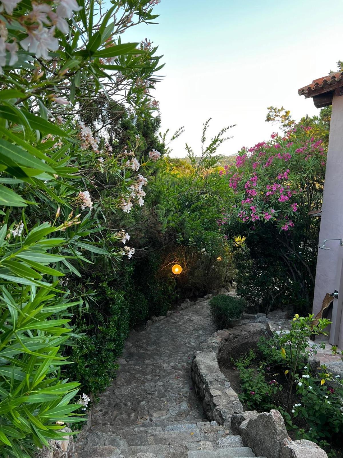 Grace Villa La Maddalena (Sassari)