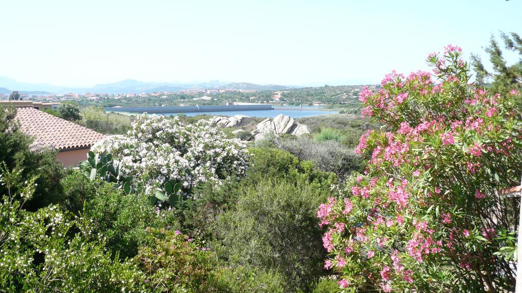 Grace * La Maddalena (Sassari)